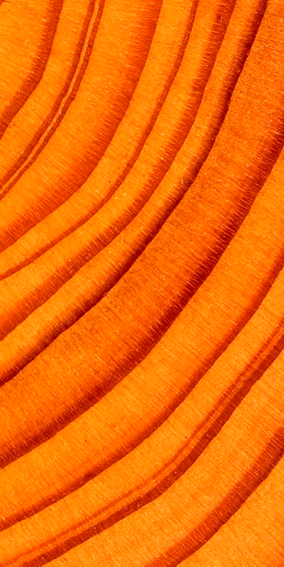 Продукция Продукция