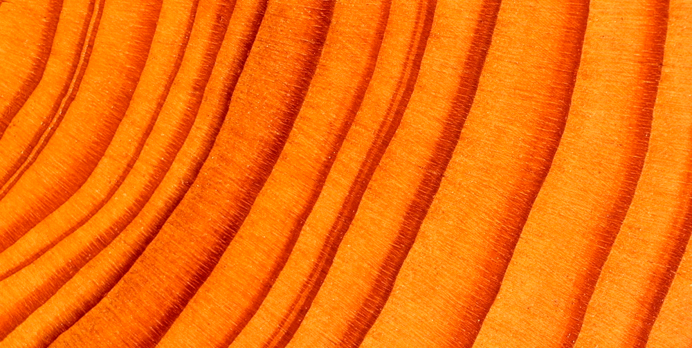 Продукция Продукция